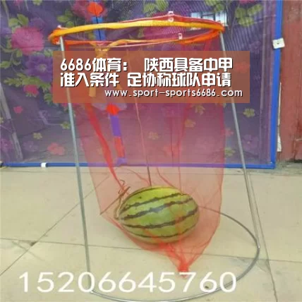 6686体育:
陕西具备中甲准入条件 足协称球队申请就能通过(图2) 6686体育官网